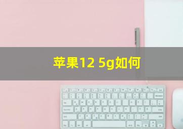 苹果12 5g如何